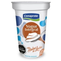 YOGUR INTEGRAL DULCE DE LECHE 200 GR